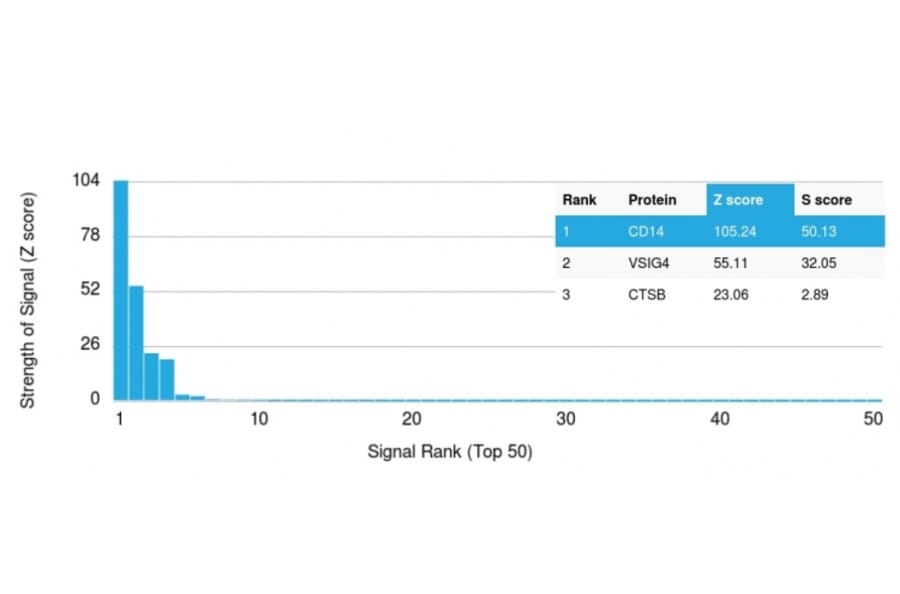 Protein Array - Anti-CD14 Antibody [LPSR/2397] (A250580) - Antibodies.com