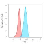 Flow Cytometry - Anti-CD19 Antibody [CVID3/429] (A250586) - Antibodies.com