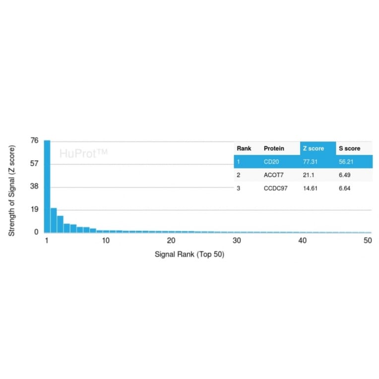 Protein Array - Anti-CD20 Antibody [MS4A1/3410] (A250589) - Antibodies.com