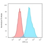 Flow Cytometry - Anti-CD20 Antibody [rIGEL/773] (A250599) - Antibodies.com