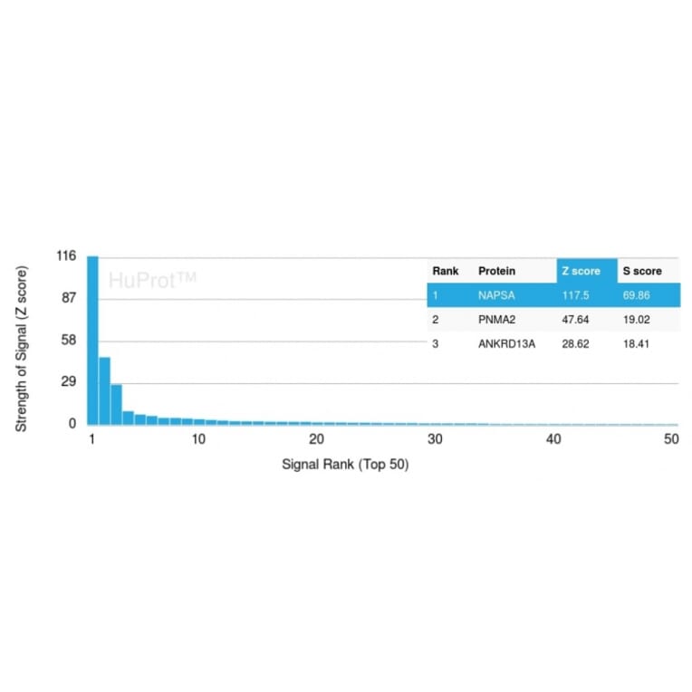 Protein Array - Anti-NAPSIN A Antibody [NAPSA/3308] (A250664) - Antibodies.com