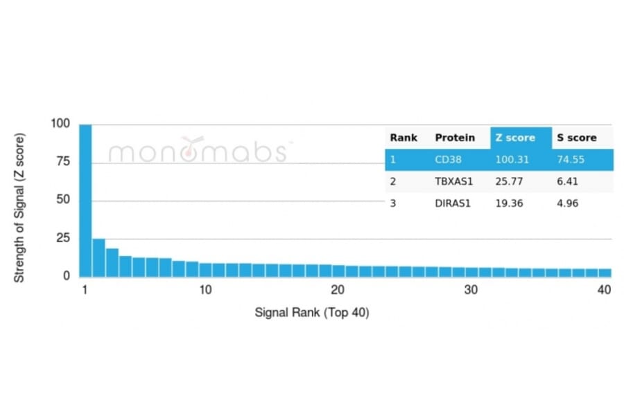Protein Array - Anti-CD38 Antibody [CD38/4328] (A250692) - Antibodies.com