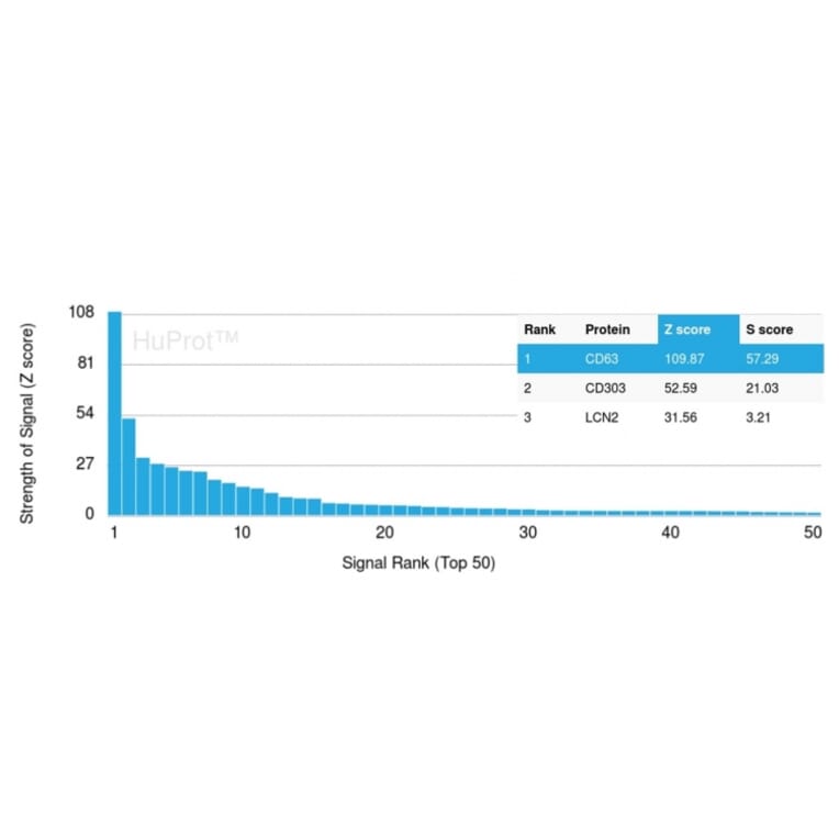 Protein Array - Anti-CD63 Antibody [rMX-49.129.5] (A250751) - Antibodies.com