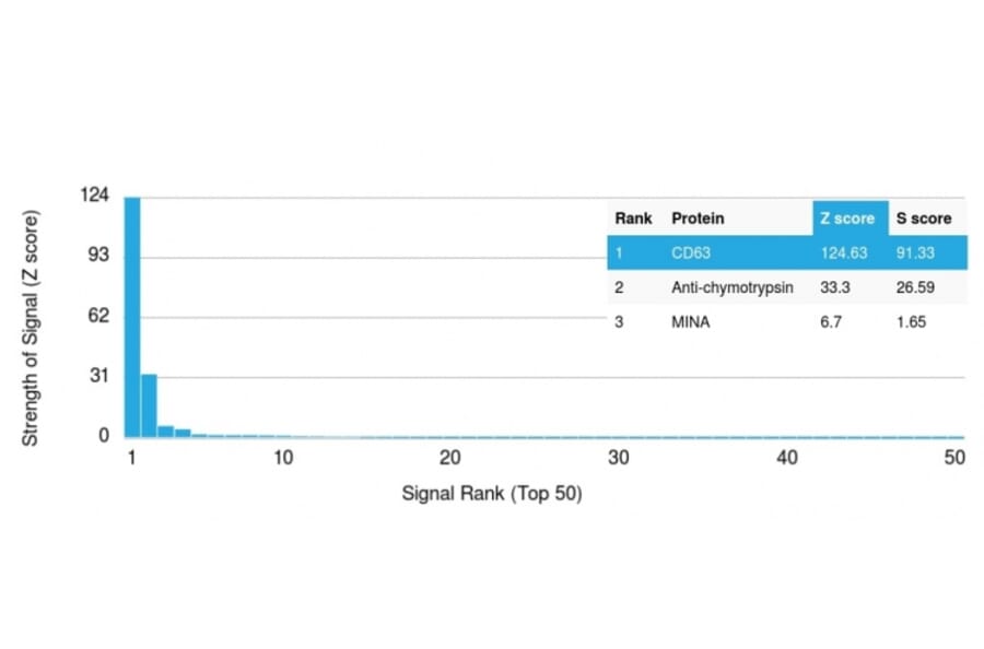 Protein Array - Anti-CD63 Antibody [LAMP3/2788] (A250752) - Antibodies.com