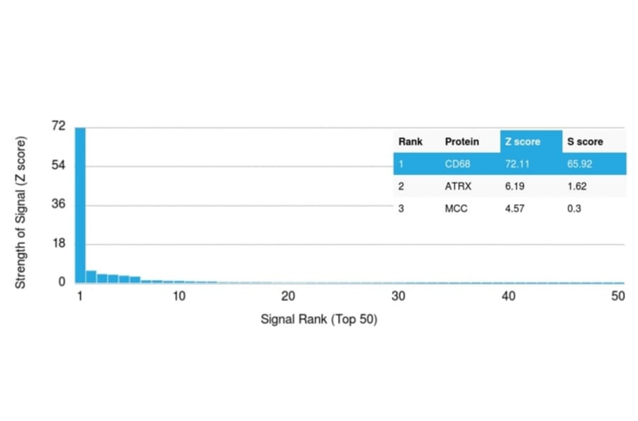 Protein Array - Anti-CD68 Antibody [C68/2709] (A250765) - Antibodies.com
