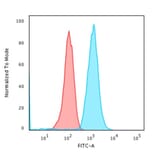 Flow Cytometry - Anti-CD79a Antibody [IGA/1790R] (A250790) - Antibodies.com