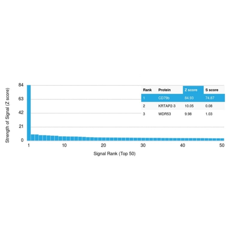 Protein Array - Anti-CD79b Antibody [IGB/1844] (A250795) - Antibodies.com