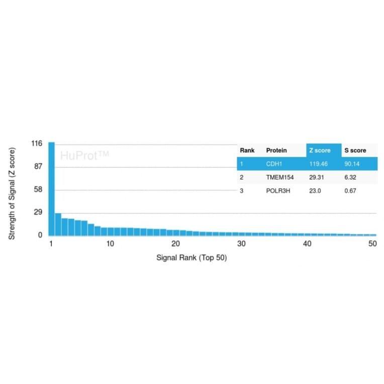 Protein Array - Anti-E Cadherin Antibody [CDH1/3256] (A250821) - Antibodies.com