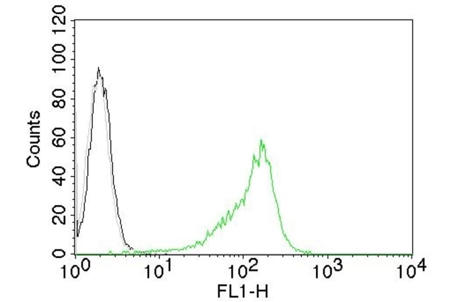 Flow Cytometry - Anti-Human Nucleolar Antigen Antibody [NM95] (A250939) - Antibodies.com