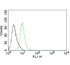 Flow Cytometry - Anti-p27 KIP 1 Antibody [KIP1/769] (CF® 488) (A251119) - Antibodies.com