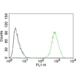 Flow Cytometry - Anti-EGFR Antibody [GFR450] (CF® 488) (A251123) - Antibodies.com