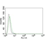 Flow Cytometry - Anti-EGFR Antibody [GFR450] (CF® 488) (A251126) - Antibodies.com