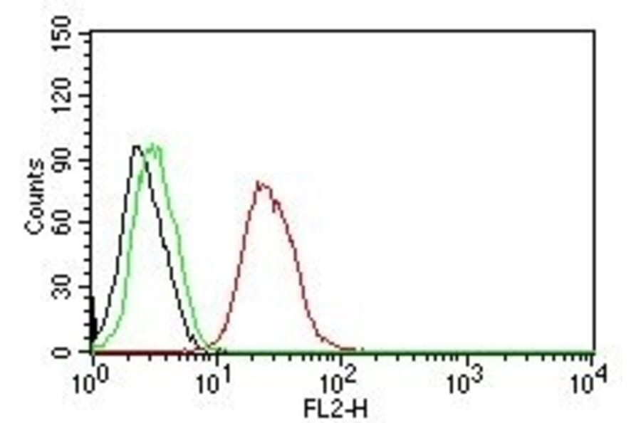 Flow Cytometry - Anti-Estrogen Receptor beta 1 Antibody [ERb455] (PE) (A251130) - Antibodies.com