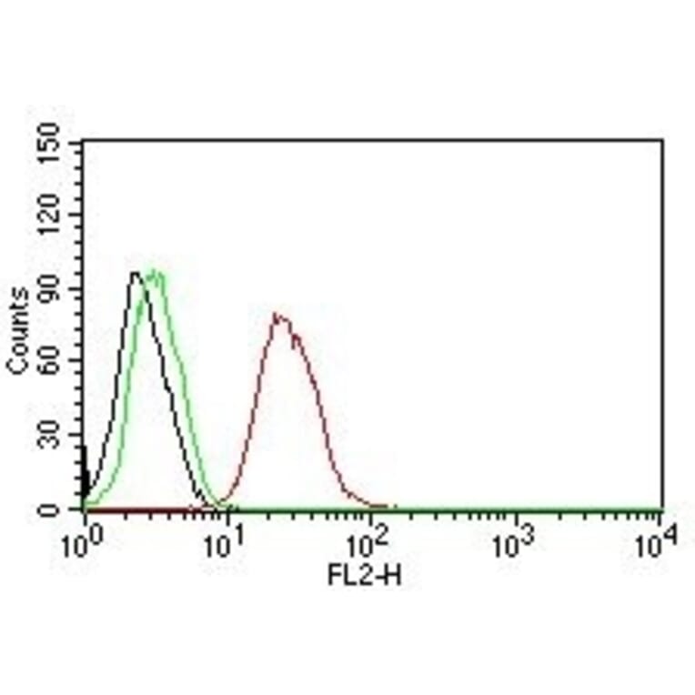 Flow Cytometry - Anti-Estrogen Receptor beta 1 Antibody [ERb455] (PE) (A251130) - Antibodies.com