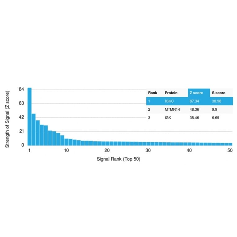 Protein Array - Anti-Kappa Light Chain Antibody [KLC709] (CF® 488) (A251134) - Antibodies.com