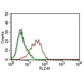 Flow Cytometry - Anti-EpCAM Antibody [EGP40/837] (PE) (A251139) - Antibodies.com