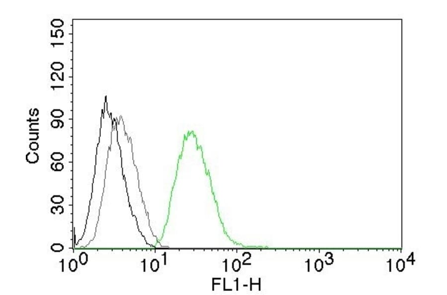 Flow Cytometry - Anti-Ornithine Decarboxylase Antibody [ODC1/485] (CF® 488) (A251141) - Antibodies.com