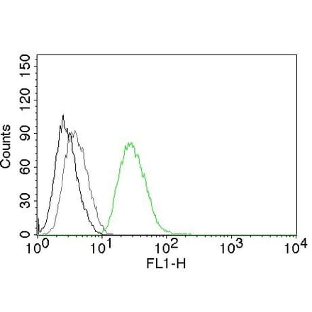 Flow Cytometry - Anti-Ornithine Decarboxylase Antibody [ODC1/485] (CF® 488) (A251141) - Antibodies.com