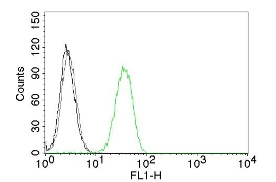 Flow Cytometry - Anti-CD31 Antibody [C31.7] (CF® 488) (A251142) - Antibodies.com