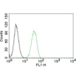 Flow Cytometry - Anti-CD31 Antibody [C31.7] (CF® 488) (A251142) - Antibodies.com