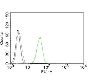 Flow Cytometry - Anti-CD31 Antibody [JC/70A] (CF® 488) (A251144) - Antibodies.com