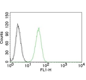 Flow Cytometry - Anti-CD31 Antibody [C31.10] (CF® 488) (A251146) - Antibodies.com