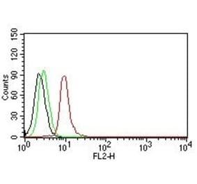 Flow Cytometry - Anti-Cyclin D1 Antibody [DCS-6] (PE) (A251147) - Antibodies.com