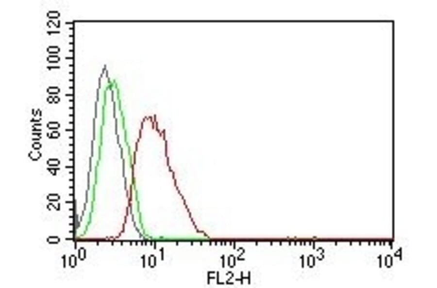 Flow Cytometry - Anti-Cyclin D1 Antibody [DCS-6] (PE) (A251151) - Antibodies.com