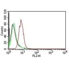 Flow Cytometry - Anti-Cyclin D1 Antibody [CCND1/809] (PE) (A251151) - Antibodies.com