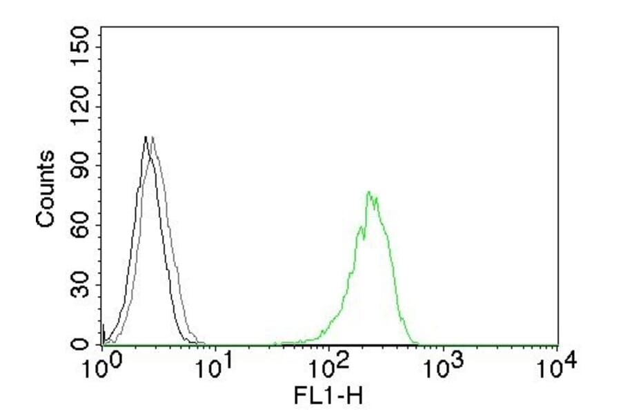 Flow Cytometry - Anti-Transferrin Receptor Antibody [66IG10] (CF® 488) (A251152) - Antibodies.com