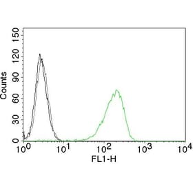 Flow Cytometry - Anti-Transferrin Receptor Antibody [TFRC/1059] (CF® 488) (A251153) - Antibodies.com