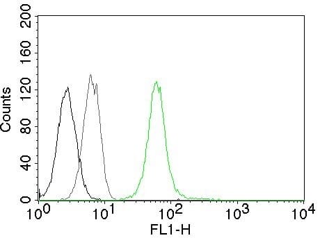 Flow cytometric analysis of Jurkat cells labeling Vimentin with Anti-Vimentin Antibody [VM452] (CF&#174; 488) (Green). Cells alone (Black). Isotype Control (Grey).