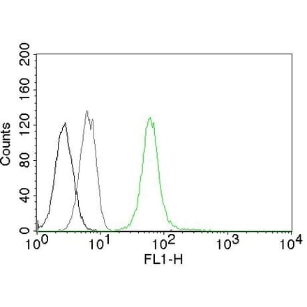 Flow Cytometry - Anti-Vimentin Antibody [VM452] (CF® 488) (A251155) - Antibodies.com