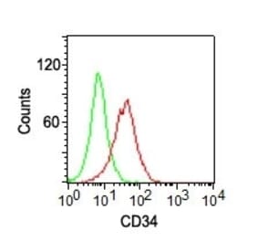 Flow Cytometry - Anti-CD34 Antibody [ICO-115] (CF® 647) (A251164) - Antibodies.com