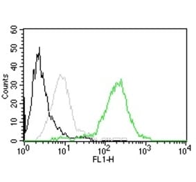 Flow Cytometry - Anti-CD63 Antibody [MX-49.129.5] (CF® 488) (A251167) - Antibodies.com