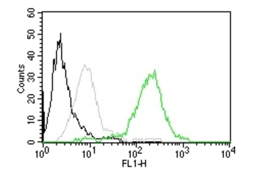 Flow Cytometry - Anti-CD63 Antibody [MX-49.129.5] (CF® 488) (A251167) - Antibodies.com
