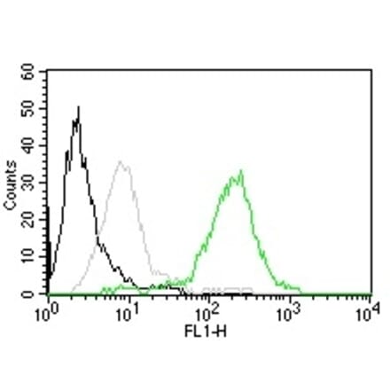 Flow Cytometry - Anti-CD63 Antibody [MX-49.129.5] (CF® 488) (A251167) - Antibodies.com