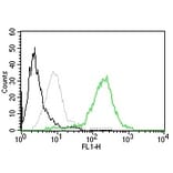 Flow Cytometry - Anti-CD63 Antibody [MX-49.129.5] (CF® 488) (A251167) - Antibodies.com