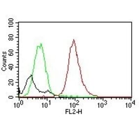 Flow Cytometry - Anti-CD63 Antibody [MX-49.129.5] (PE) (A251169) - Antibodies.com