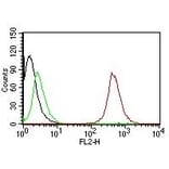 Flow Cytometry - Anti-CD63 Antibody [SPM524] (PE) (A251177) - Antibodies.com