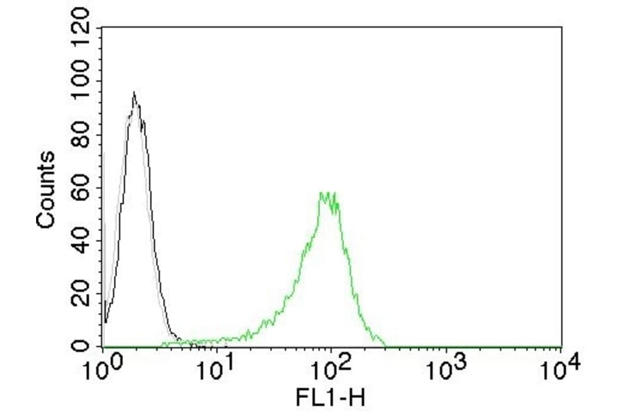 Flow Cytometry - Anti-Human Nuclear Antigen Antibody [235-1] (CF® 488) (A251181) - Antibodies.com