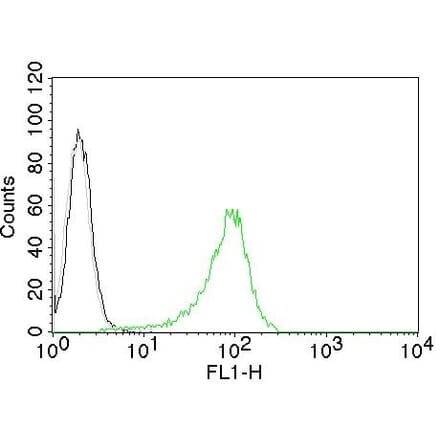 Flow Cytometry - Anti-Human Nuclear Antigen Antibody [235-1] (CF® 488) (A251181) - Antibodies.com