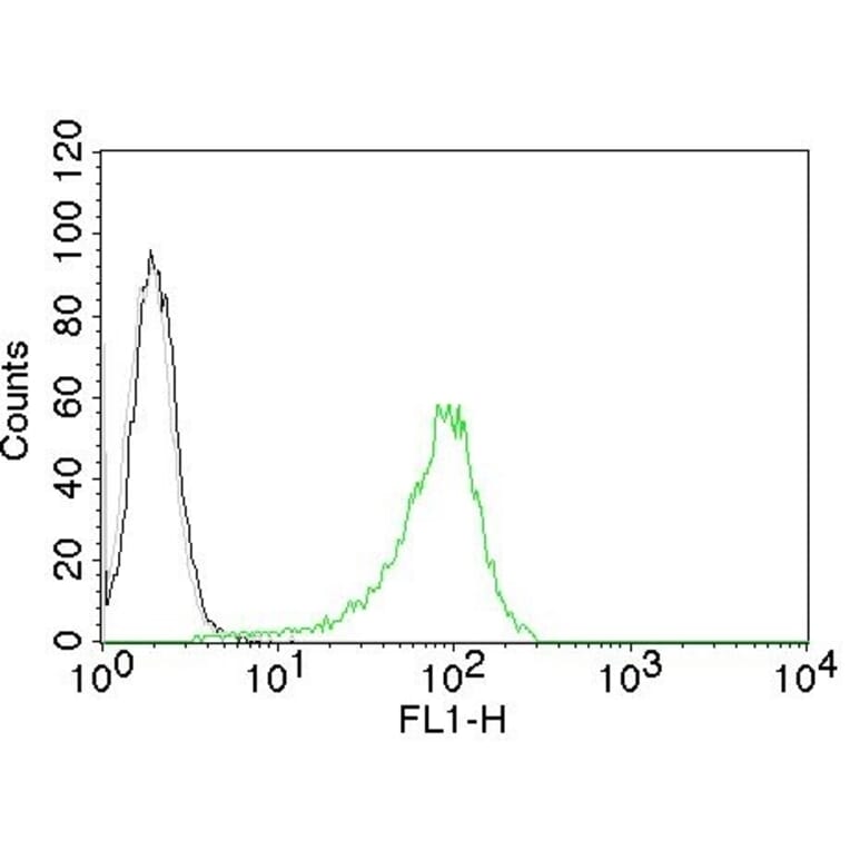Flow Cytometry - Anti-Human Nuclear Antigen Antibody [235-1] (CF® 488) (A251181) - Antibodies.com