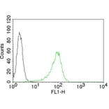 Flow Cytometry - Anti-Human Nuclear Antigen Antibody [235-1] (CF® 488) (A251181) - Antibodies.com