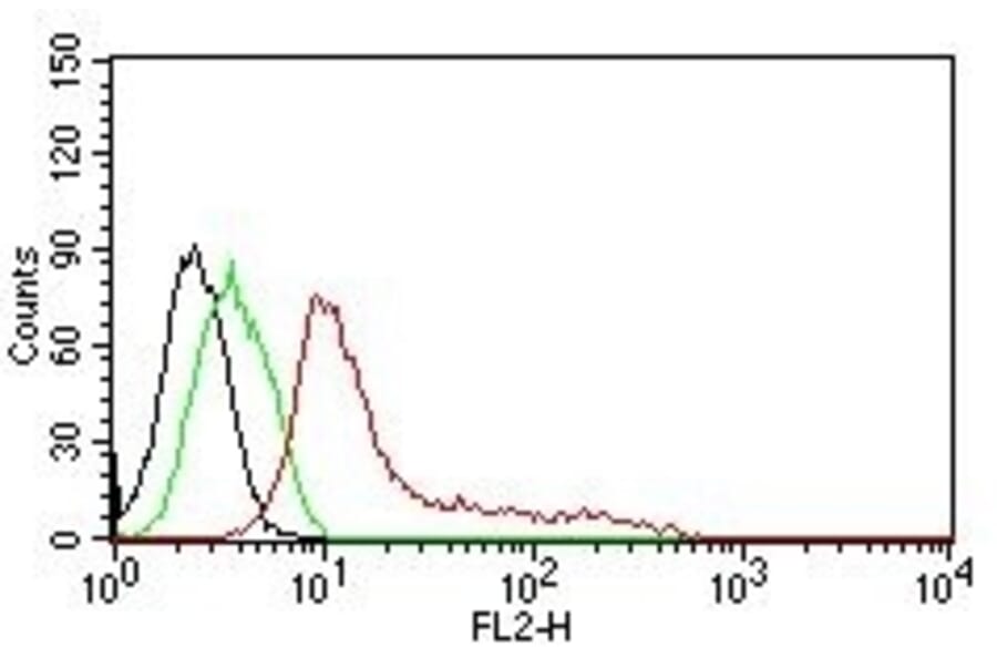 Flow Cytometry - Anti-Human Nuclear Antigen Antibody [235-1] (PE) (A251184) - Antibodies.com