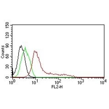 Flow Cytometry - Anti-Human Nuclear Antigen Antibody [235-1] (PE) (A251184) - Antibodies.com