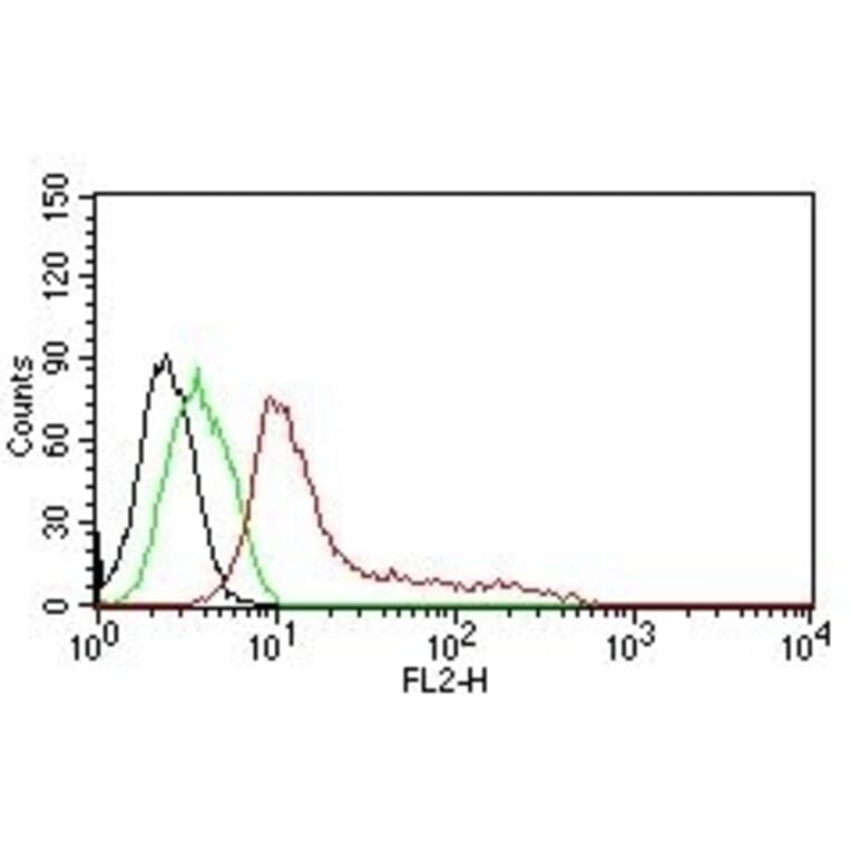 Flow Cytometry - Anti-Human Nuclear Antigen Antibody [235-1] (PE) (A251184) - Antibodies.com