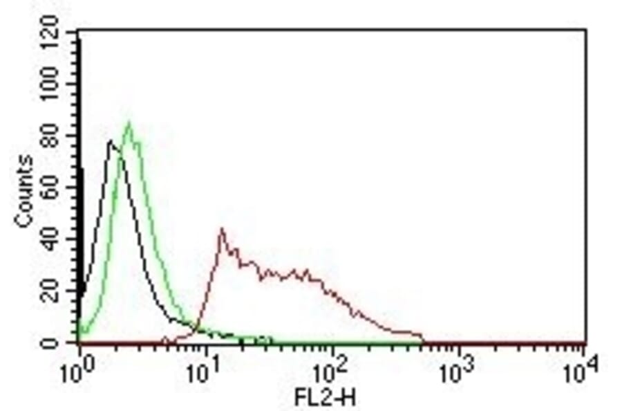 Flow Cytometry - Anti-Human Nuclear Antigen Antibody [235-1] (PE) (A251183) - Antibodies.com