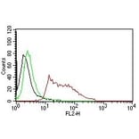 Flow Cytometry - Anti-Human Nuclear Antigen Antibody [235-1] (PE) (A251183) - Antibodies.com