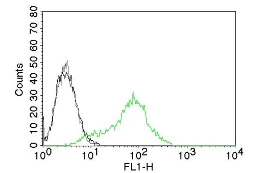 Flow Cytometry - Anti-Ku70 Antibody [KU729] (CF® 488) (A251184) - Antibodies.com